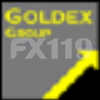 GOLDEX GROUP 天眼110官网